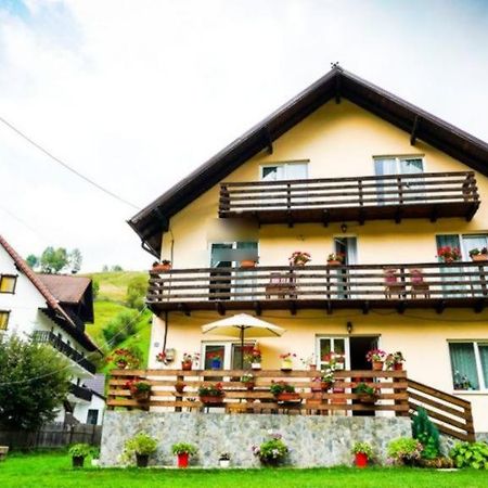 Casa Anastasia - Moieciu De Sus Moeciu De Sus Εξωτερικό φωτογραφία